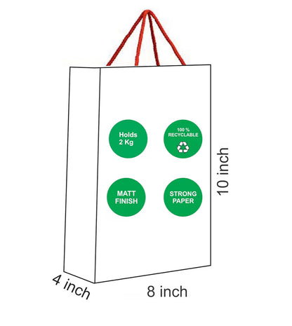 Indian Gift Bag – Peacock Mahal Art