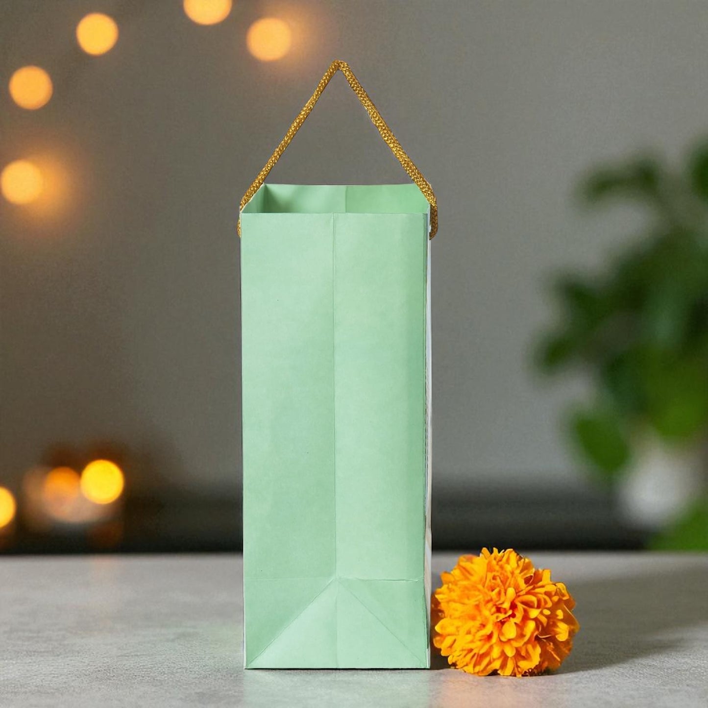 Indian Gift Bag – Peacock Mahal Art